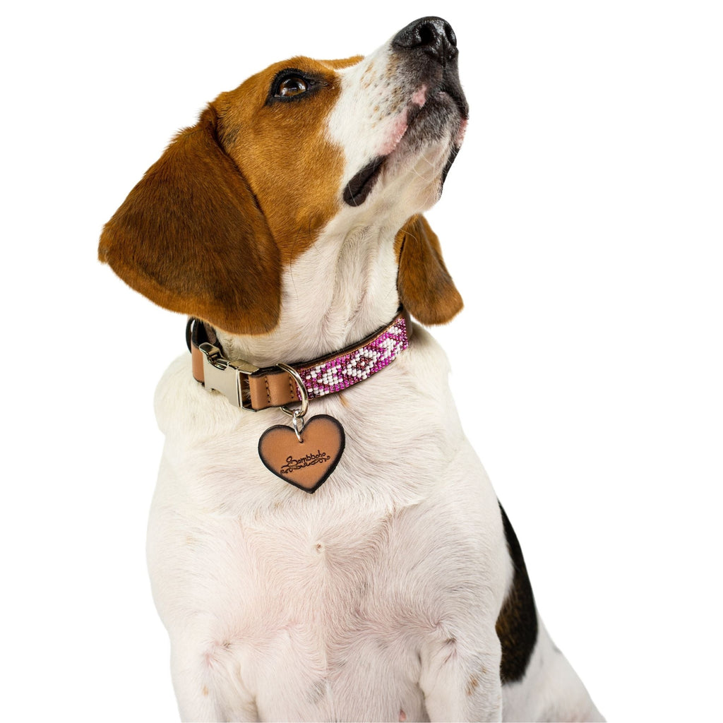 Melrose dog collar (quick release) by Sambboho