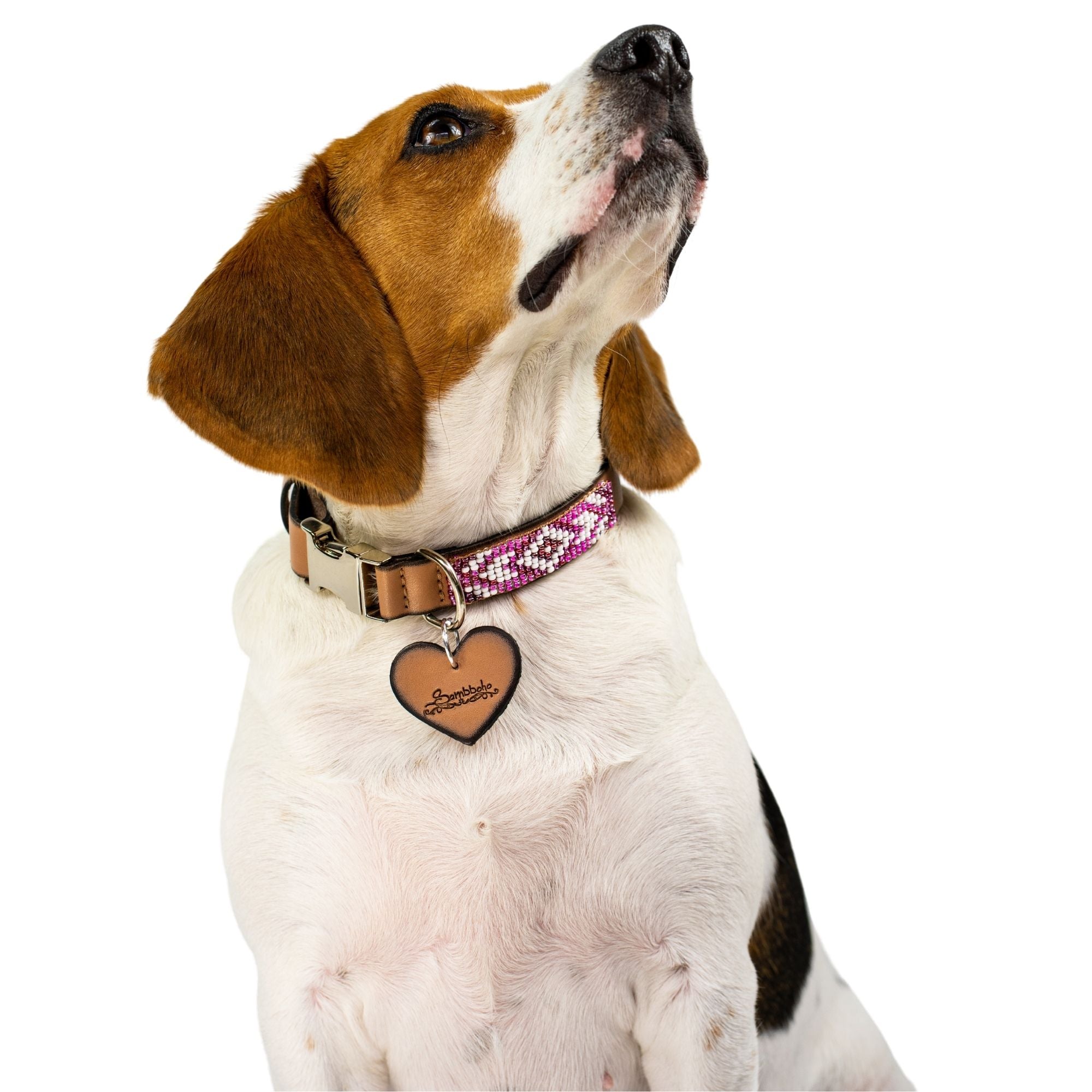 Melrose dog collar (quick release) by Sambboho