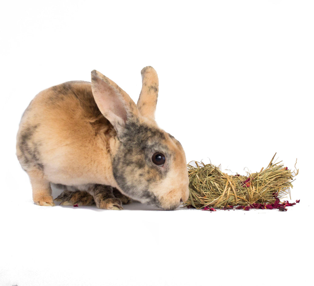 Mini Bale With Rose Petals For Rabbits, Guinea Pigs, Chinchillas, and Hamsters by Dahlia Pets