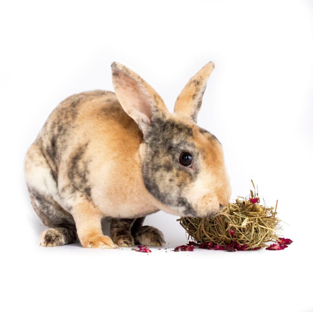 Mini Bale With Rose Petals For Rabbits, Guinea Pigs, Chinchillas, and Hamsters by Dahlia Pets