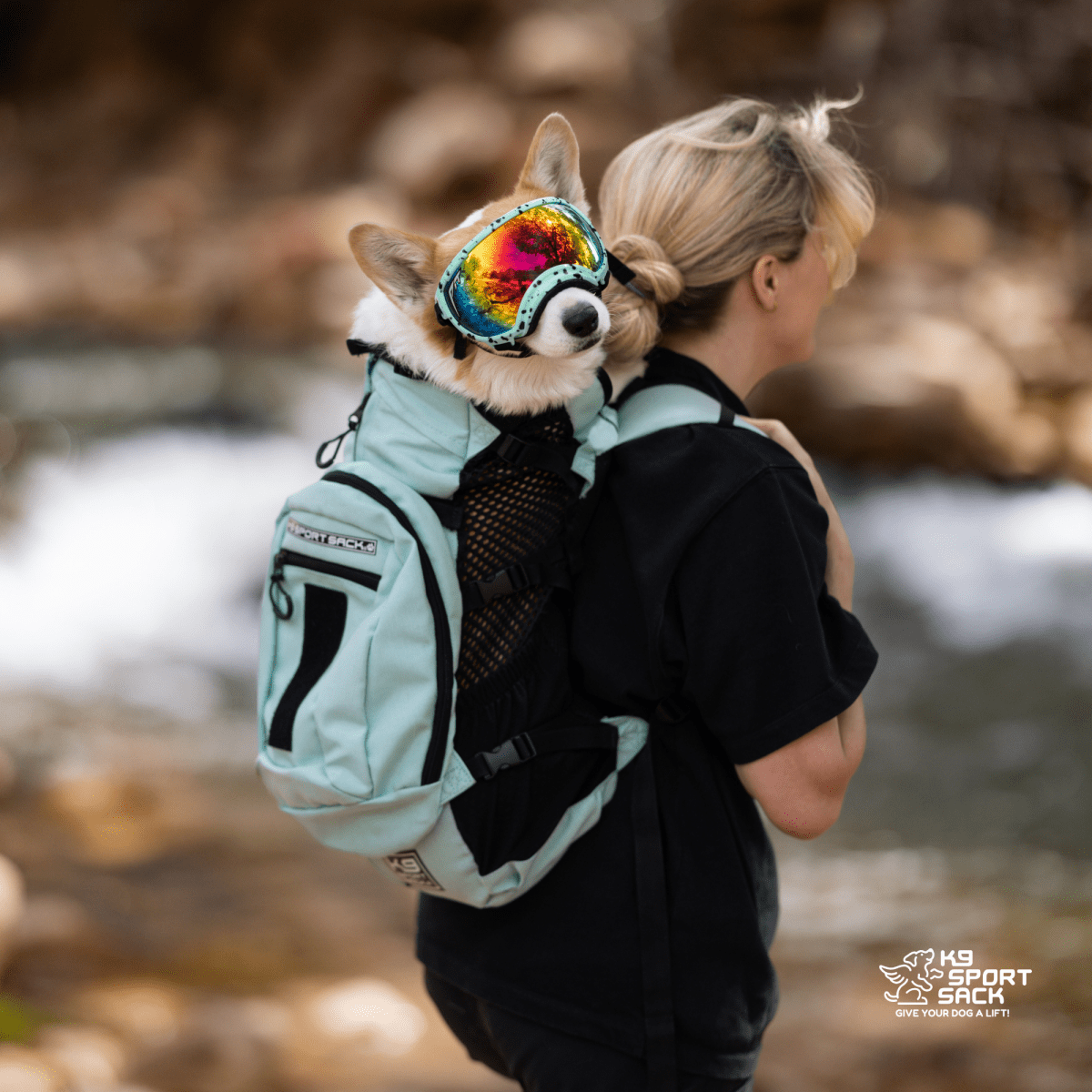 Plus 2 | Dog Carrier with Removable Storage by K9 Sport Sack