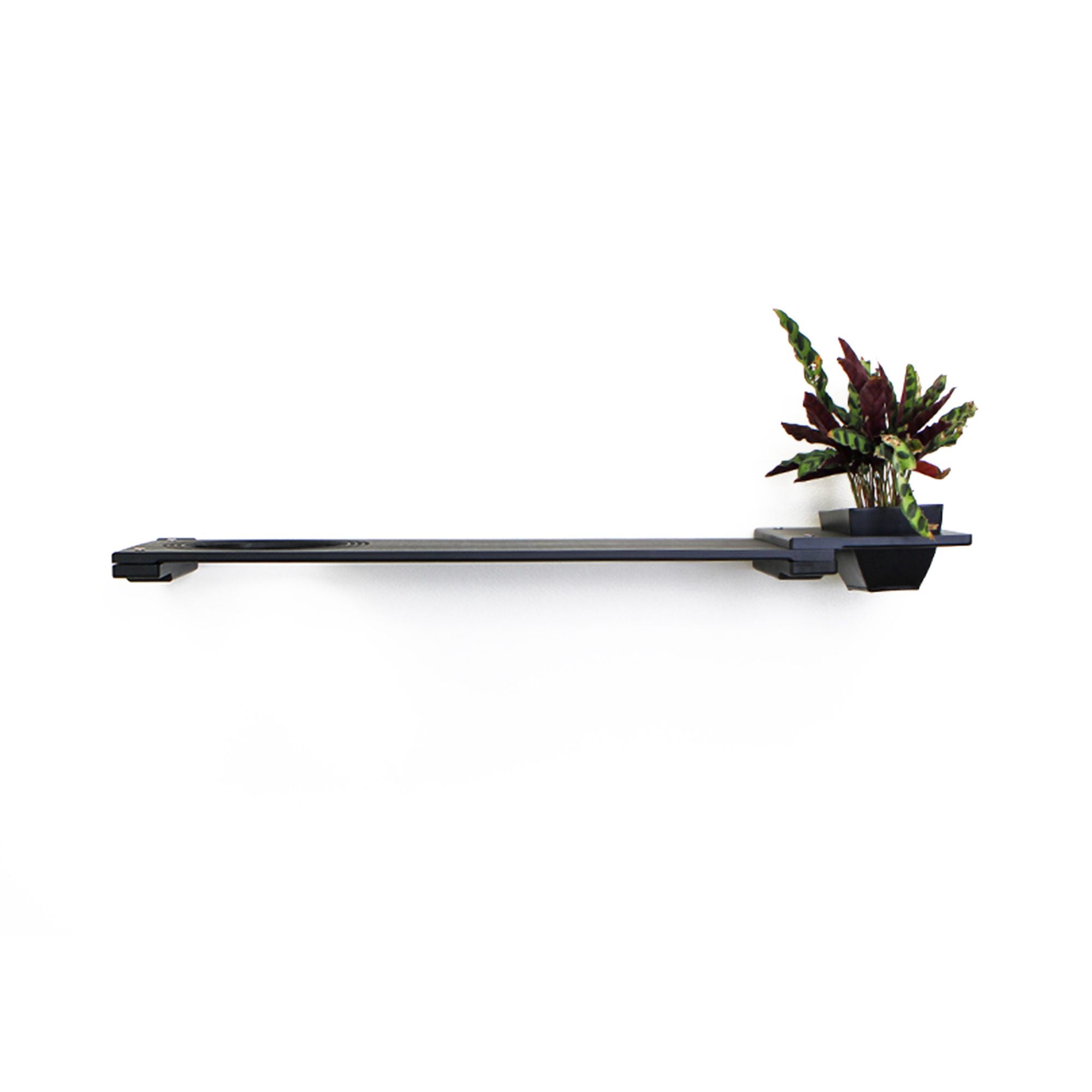 Cat Plant Stand for Wall by Catastrophic Creations
