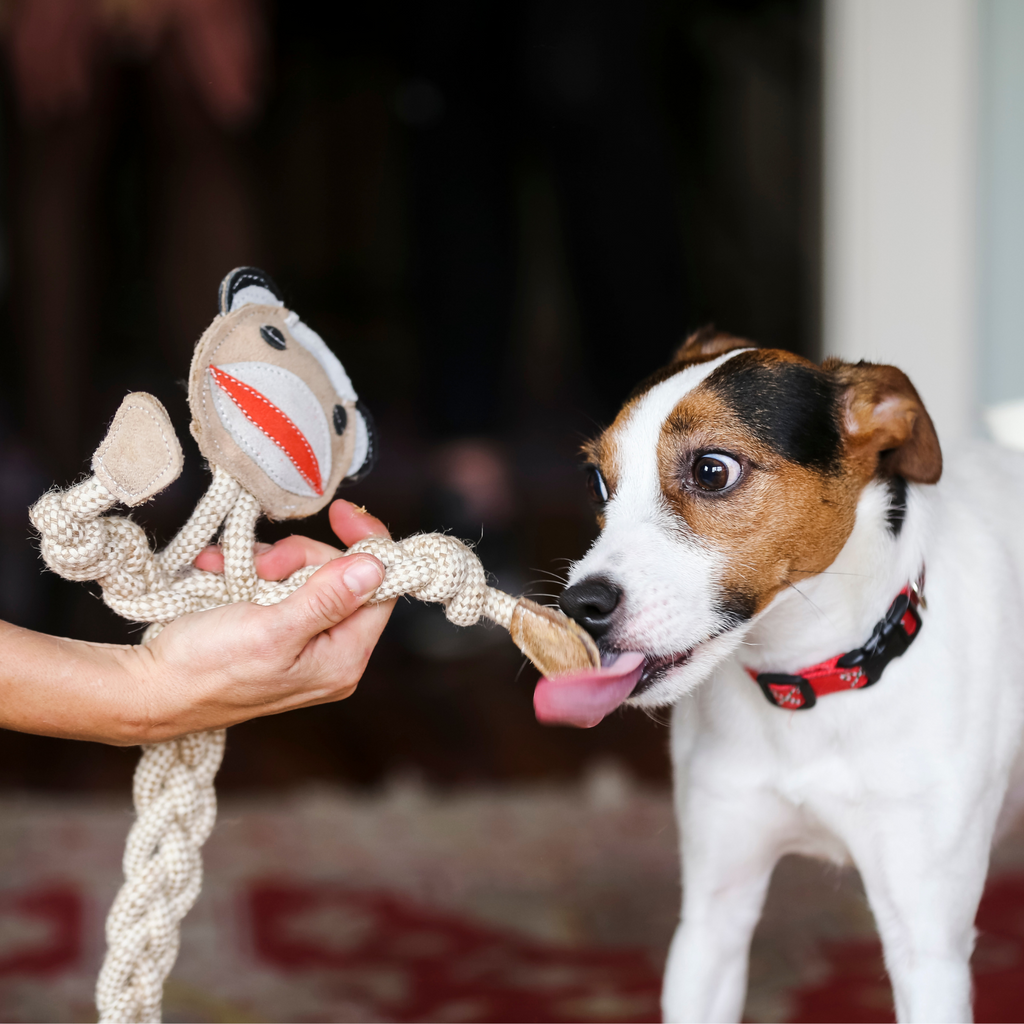 Stuey Sock Monkey Natural Rope Knottie® Dog Toy, Large (9mm rope diameter) by HuggleHounds