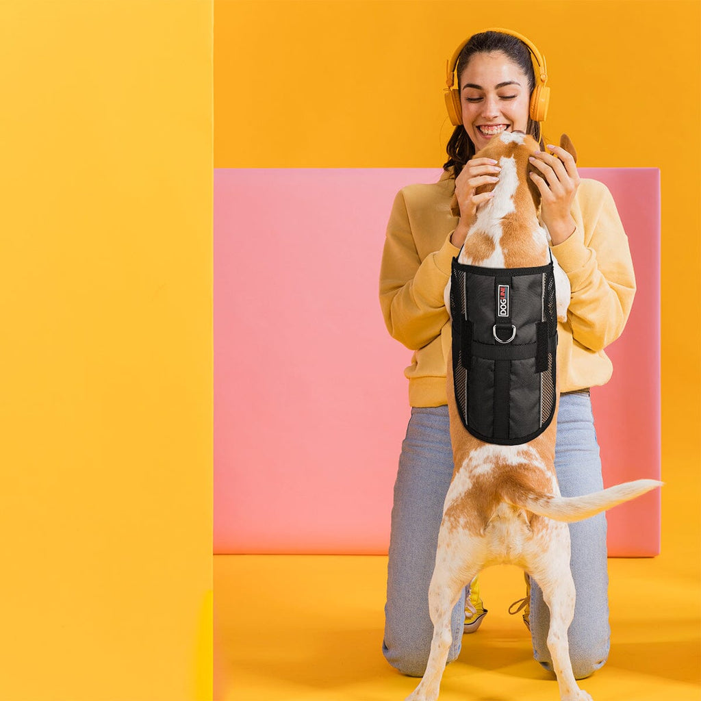 MaxAire Mesh Dog Vest Harness by Dogline