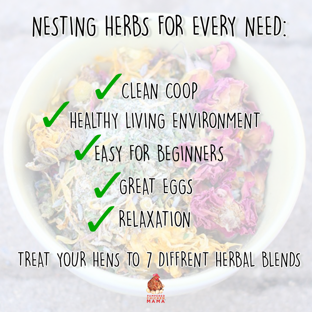 Nesting Herb Starter Bundle-- 7 Different Nesting & Coop Herbs by Dahlia Pets