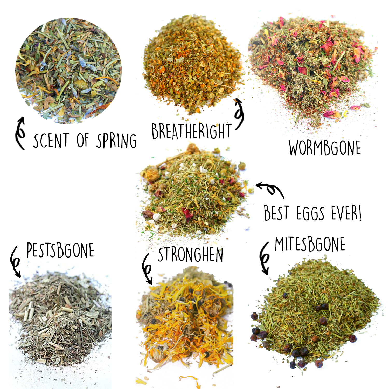 Nesting Herb Starter Bundle-- 7 Different Nesting & Coop Herbs by Dahlia Pets