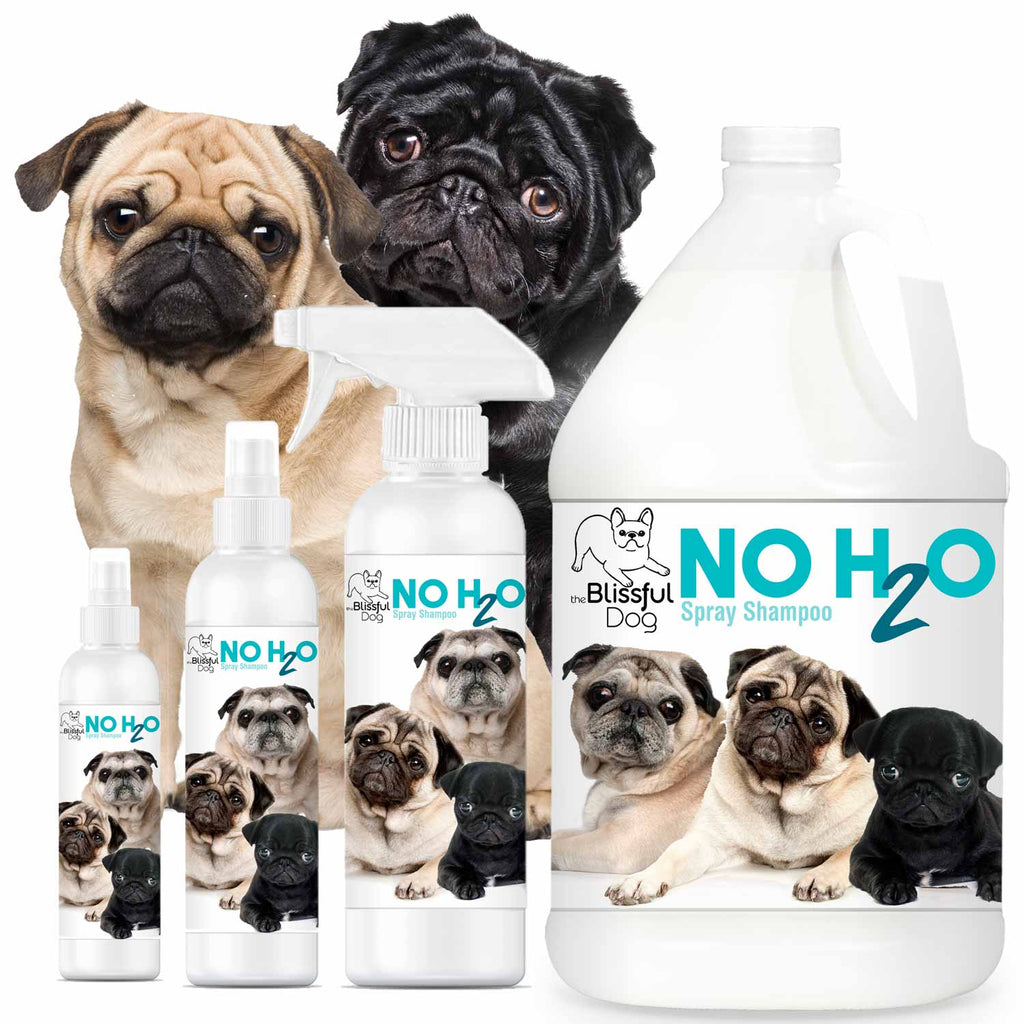 No H20 Spray Pet Shampoo by The Blissful Dog