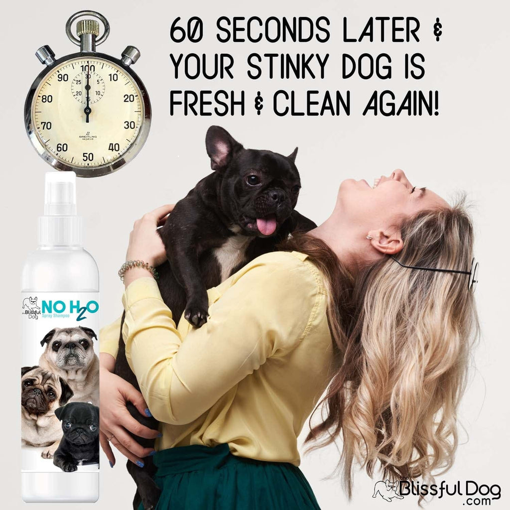 No H20 Spray Pet Shampoo by The Blissful Dog
