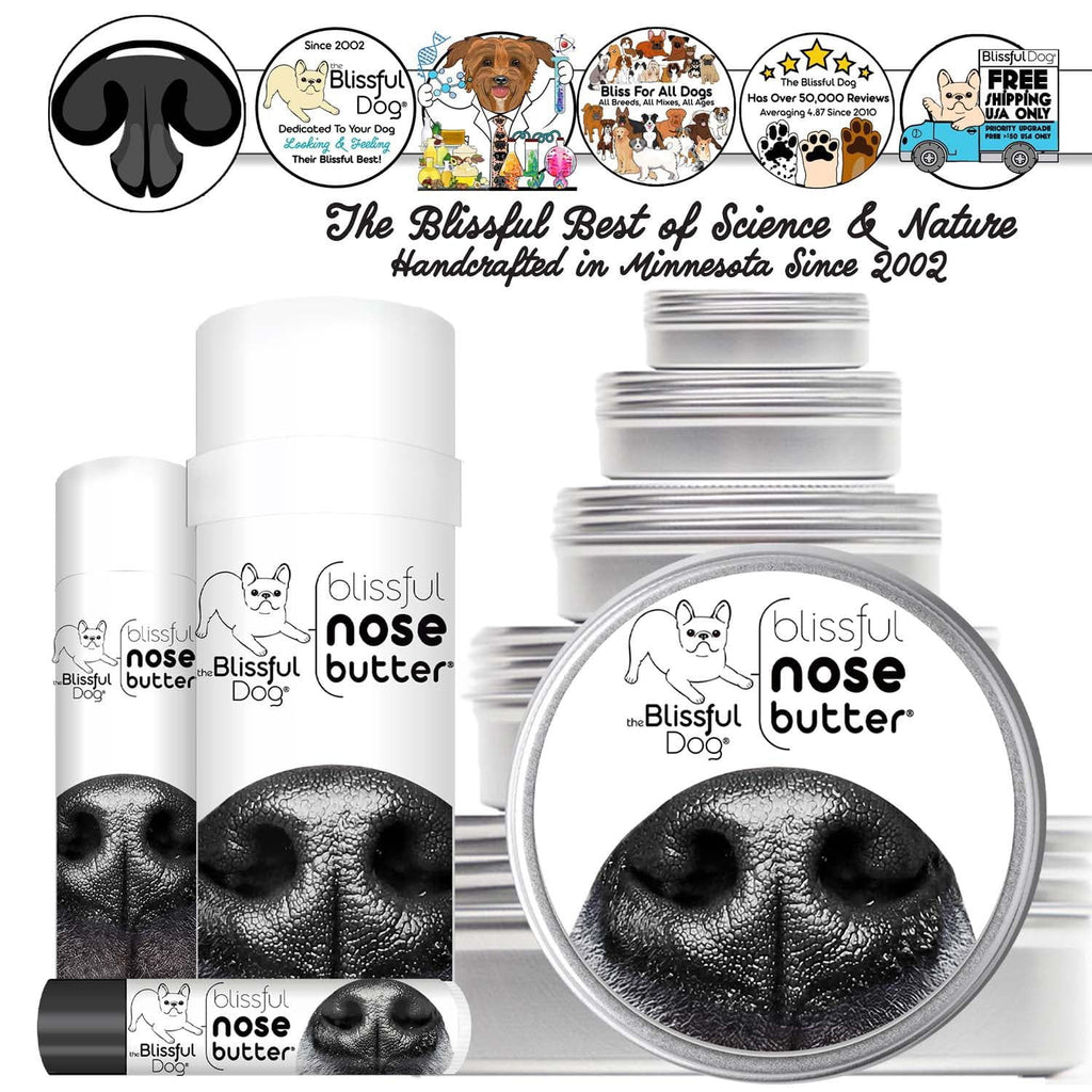 1 Dog Nose Butter For All Dogs by The Blissful Dog