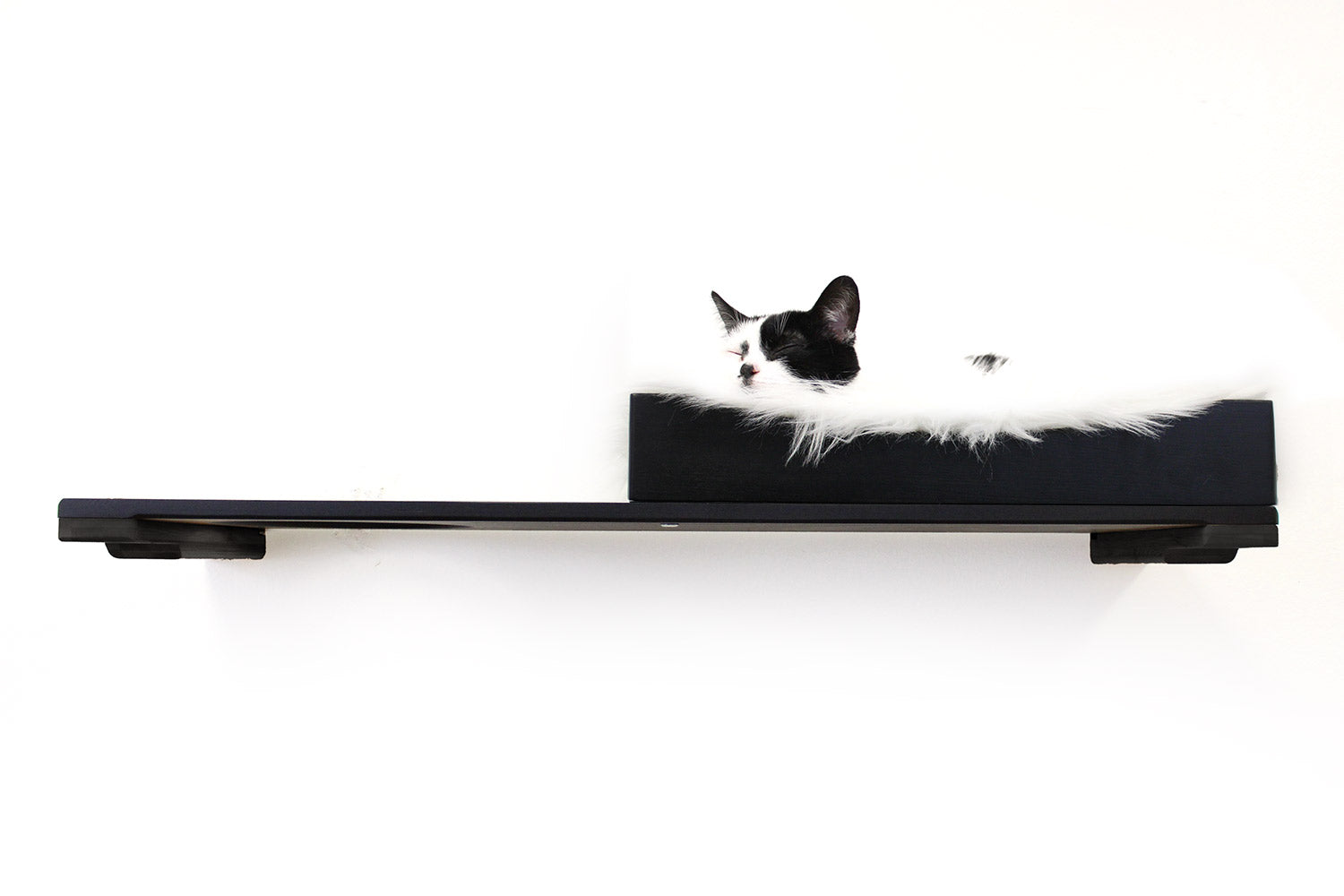 The Cat Nest Bed by Catastrophic Creations