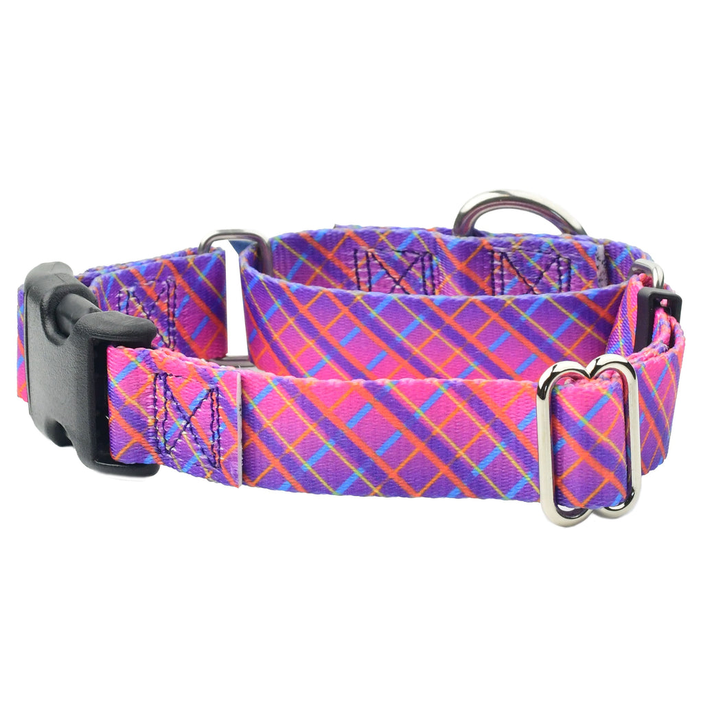 Neon Sunrise Pink Plaid Buckle Martingale Dog Collar – EarthStyle by 2 Hounds Design