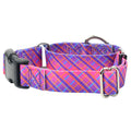 Neon Sunrise Pink Plaid Buckle Martingale Dog Collar – EarthStyle by 2 Hounds Design