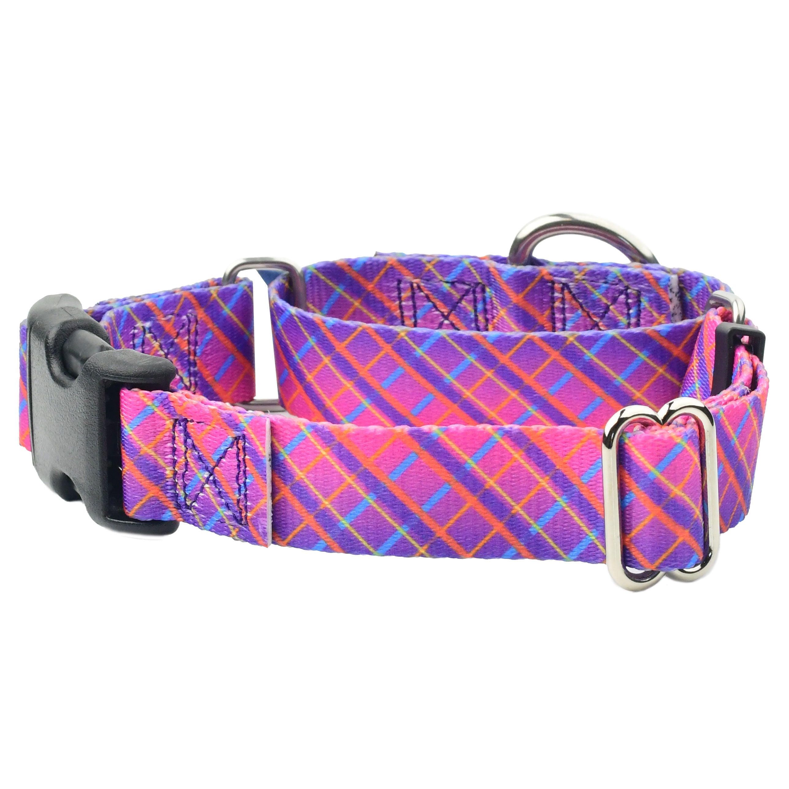 Neon Sunrise Pink Plaid Buckle Martingale Dog Collar – EarthStyle by 2 Hounds Design