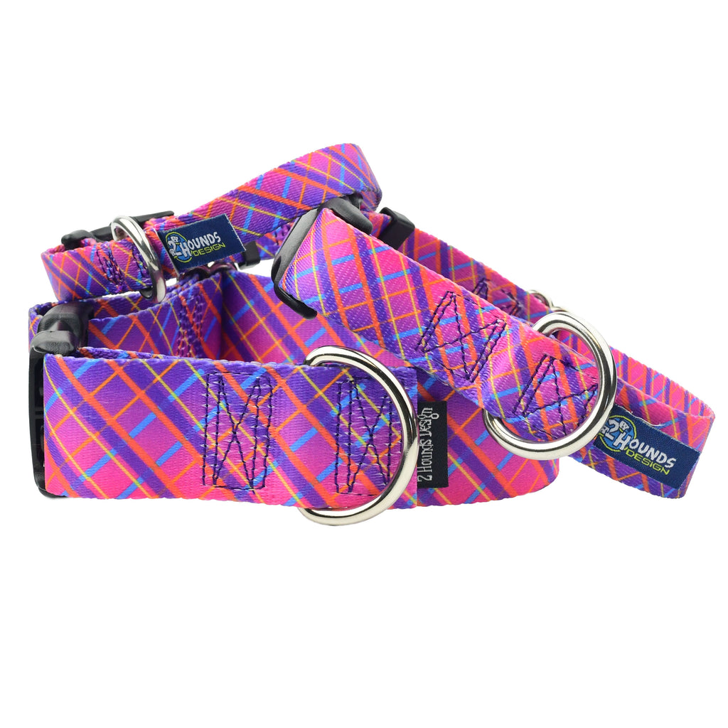 Neon Sunrise Pink Plaid Buckle Martingale Dog Collar – EarthStyle by 2 Hounds Design