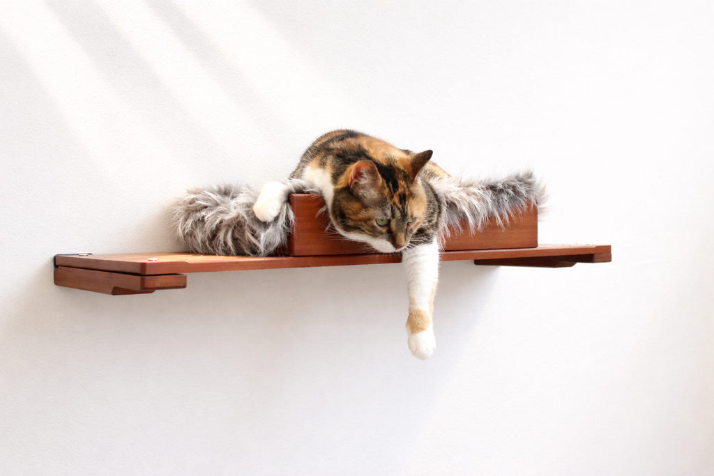 The Cat Nest Bed by Catastrophic Creations