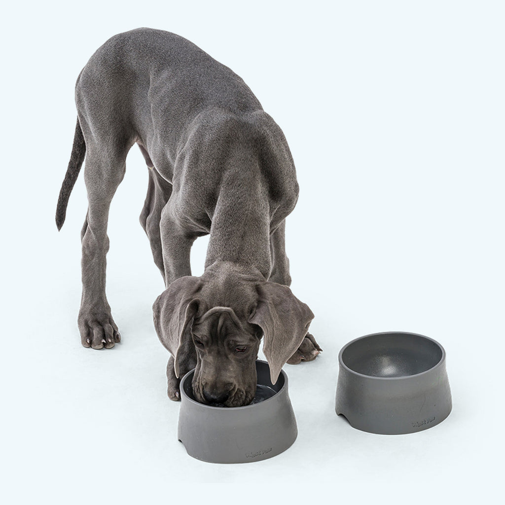 Non-Slip Bowl by West Paw