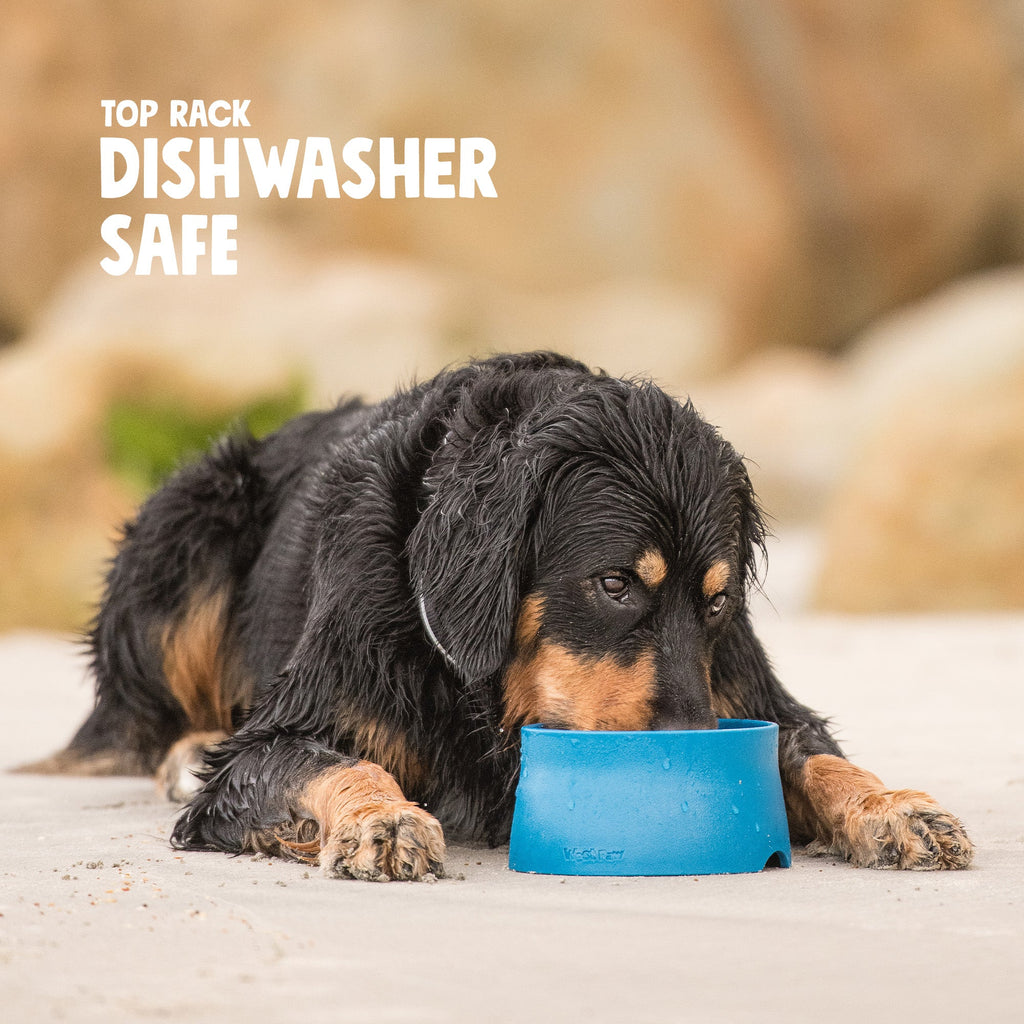 Non-Slip Bowl by West Paw