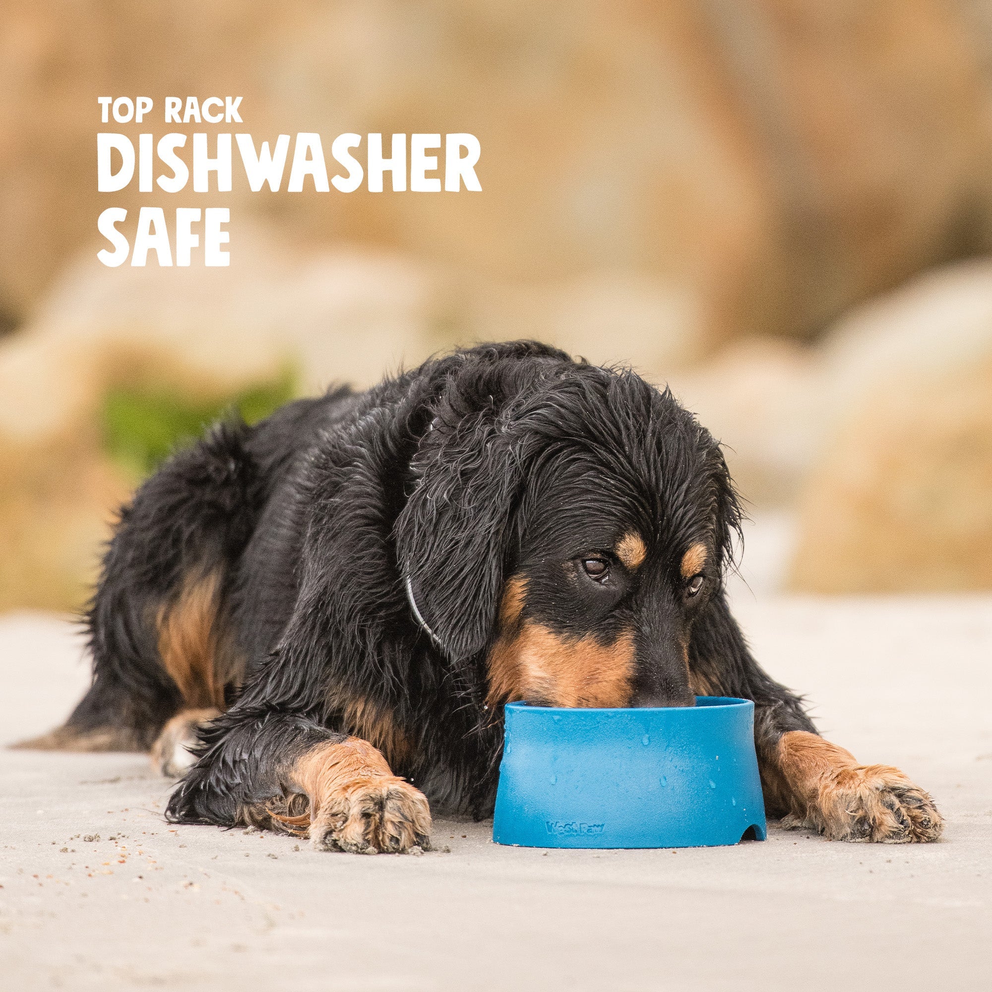 Non-Slip Bowl by West Paw