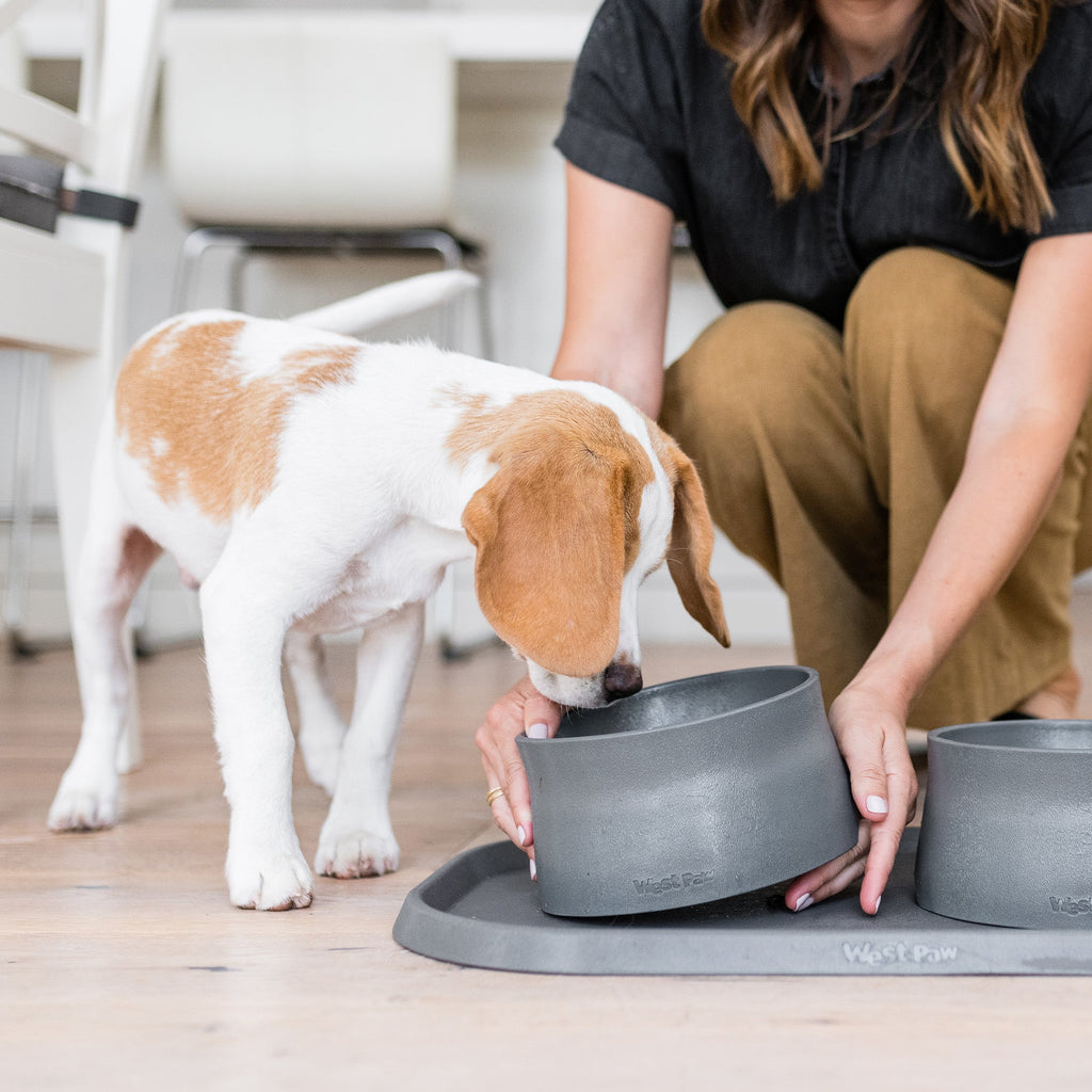 Non-Slip Bowl by West Paw