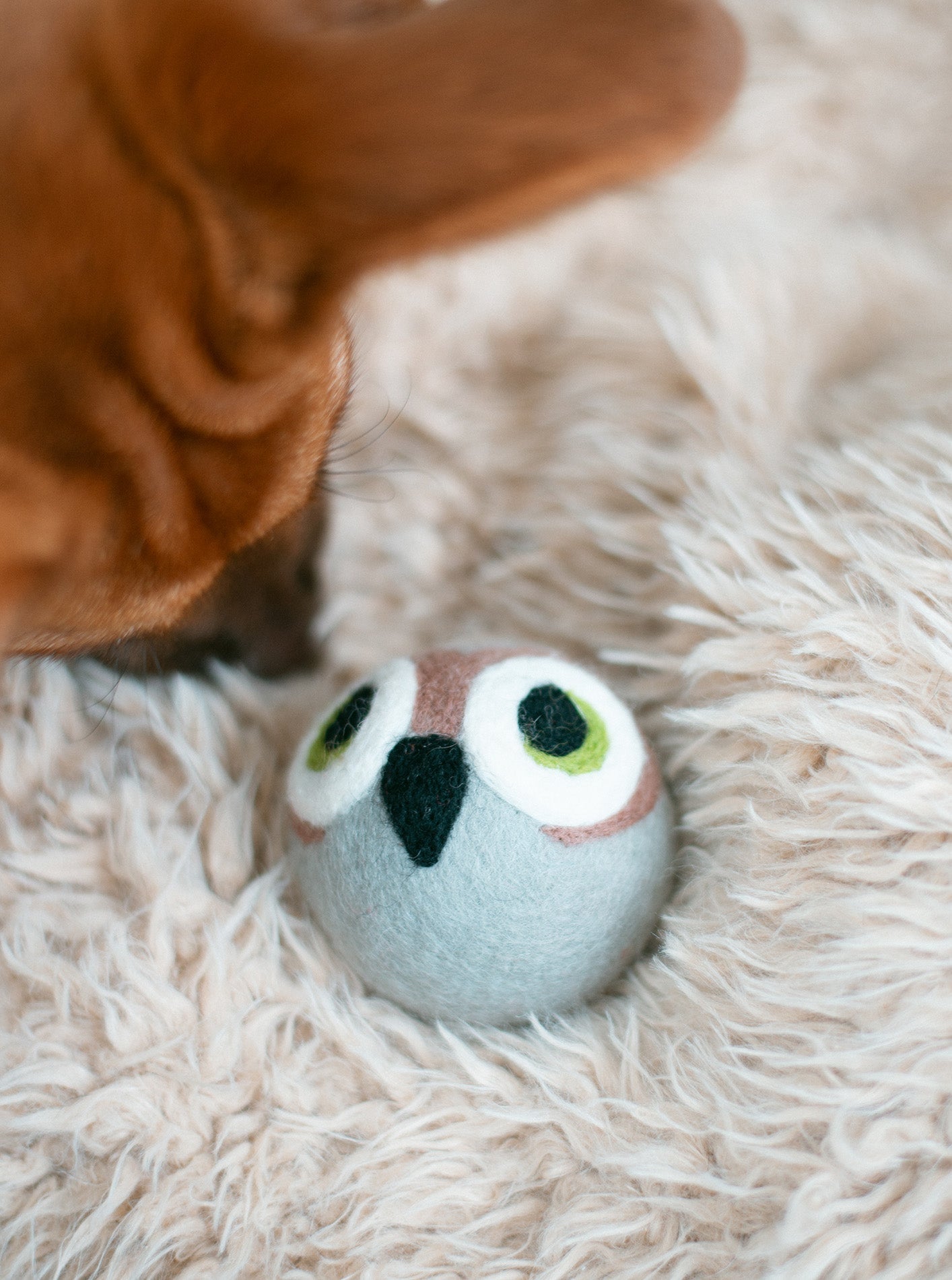WISE OLD OWL BEASTBALL by MODERNBEAST