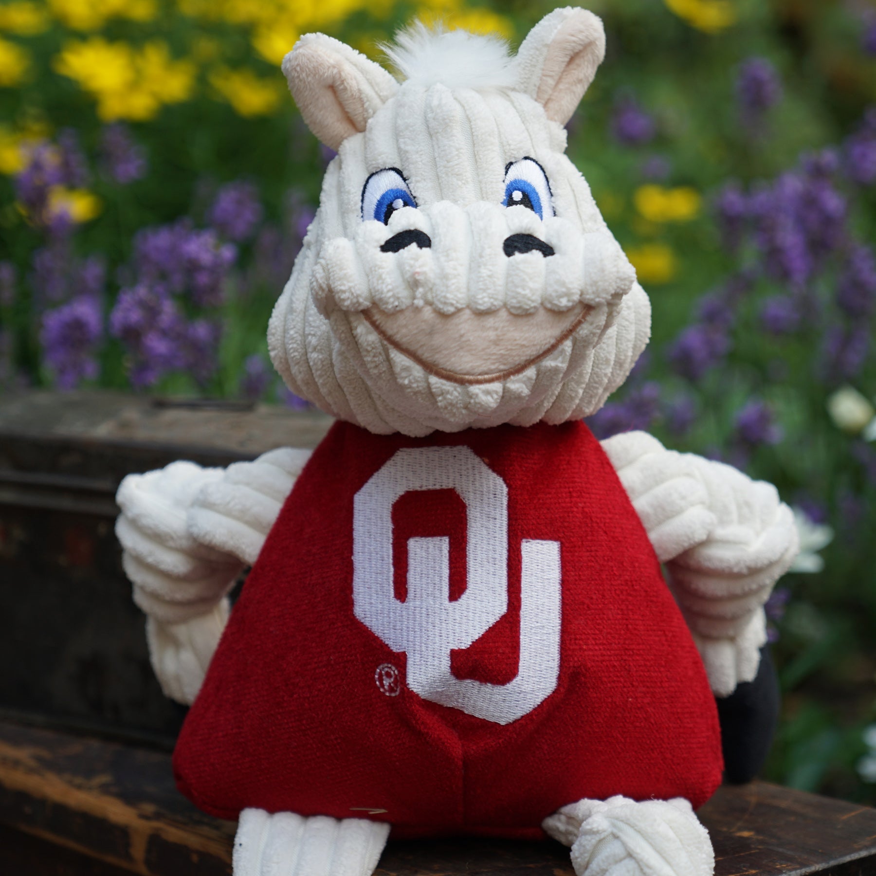 NCAA University of Oklahoma, Sooner Knottie® Plush Dog Toy by HuggleHounds