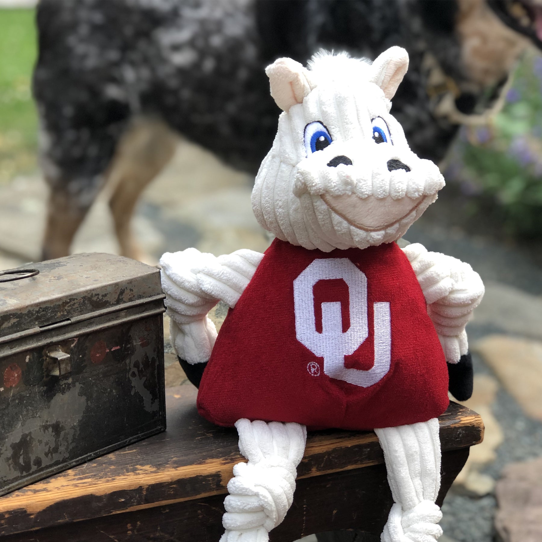 NCAA University of Oklahoma, Sooner Knottie® Plush Dog Toy by HuggleHounds