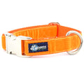 Orange Velvet Essential Martingale Dog Collar (1″ Only) by 2 Hounds Design
