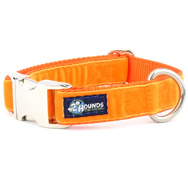 Orange Velvet Essential Buckle Martingale Dog Collar (1″ Only) by 2 Hounds Design