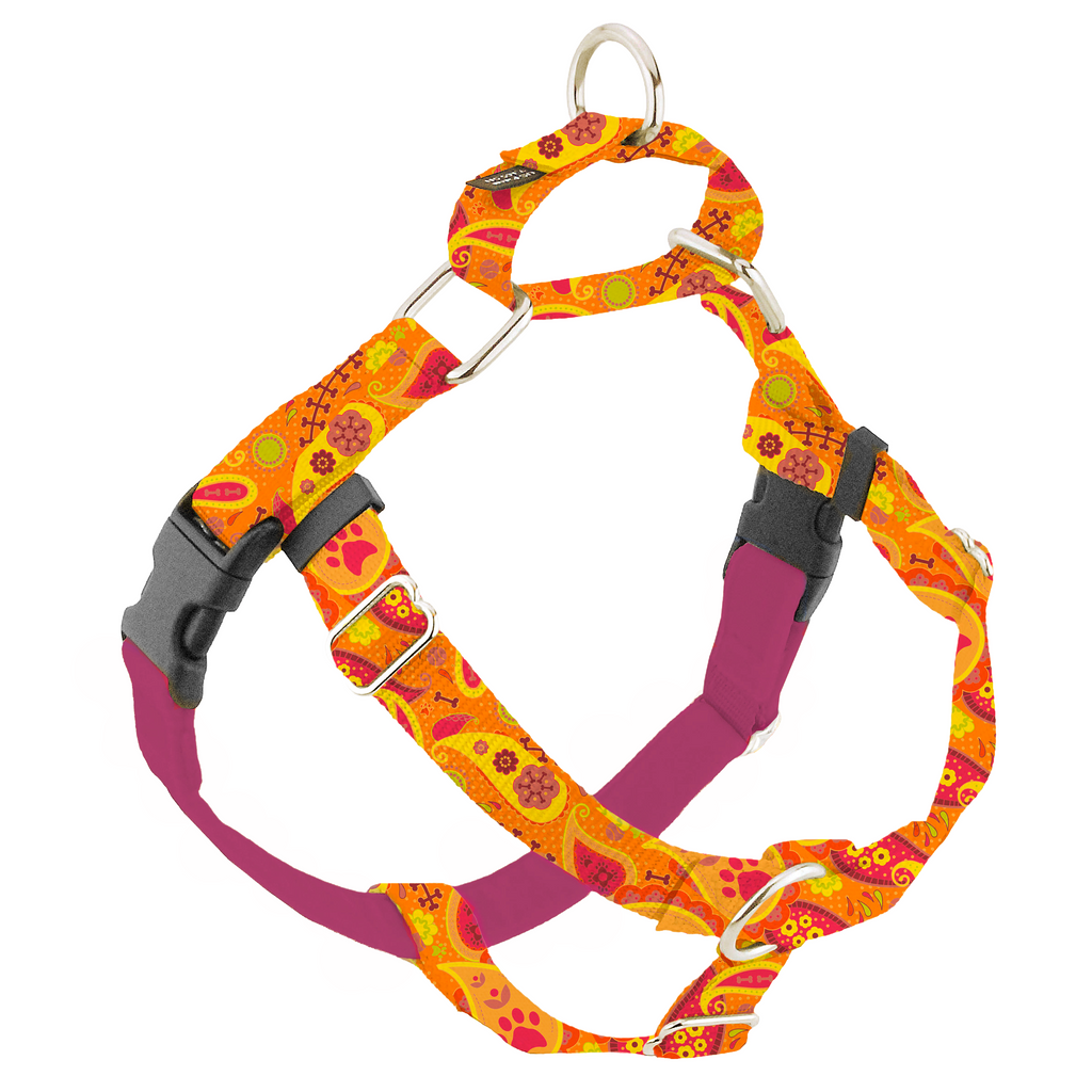 Orange Paisley Freedom No-Pull Dog Harness – EarthStyle by 2 Hounds Design