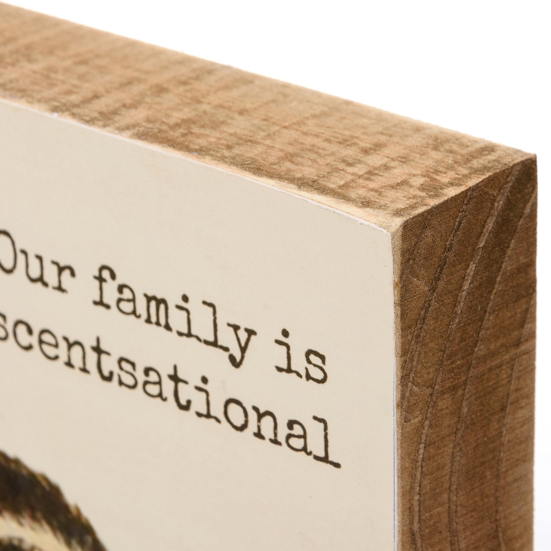 Our Family Is Scentsational Skunk Motif Punny Wooden Block Sign | 4" x 4" by The Bullish Store