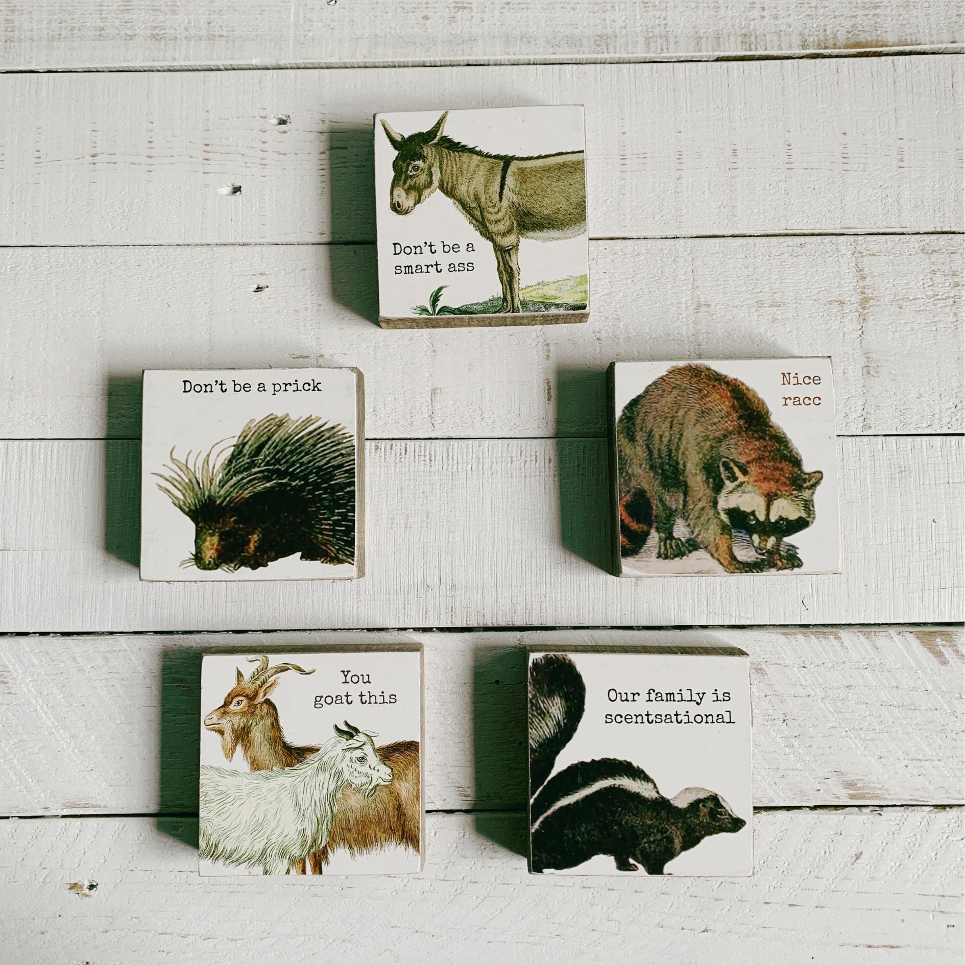 Our Family Is Scentsational Skunk Motif Punny Wooden Block Sign | 4" x 4" by The Bullish Store