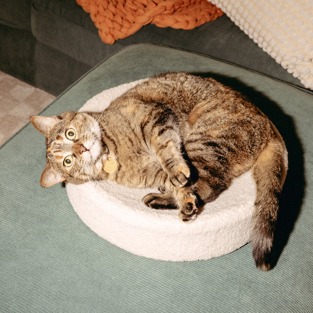 Kip Cat Bed by tuft + paw