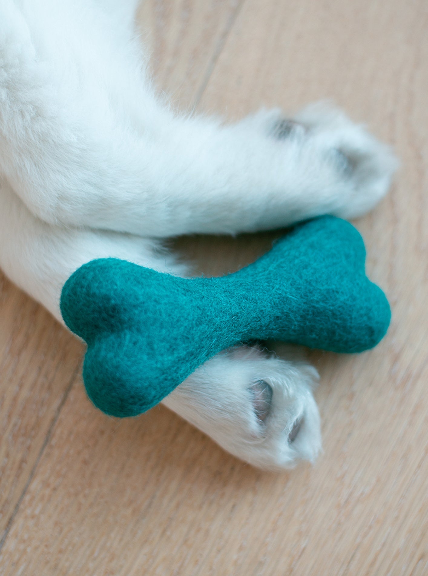 CLASSIC WOOLBONE DOG TOY by MODERNBEAST