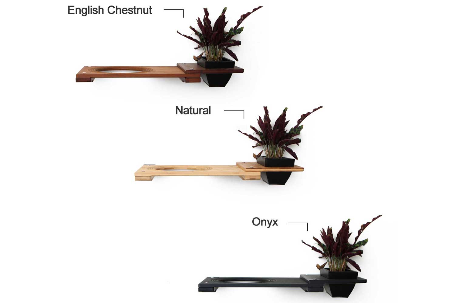 Cat Plant Stand for Wall by Catastrophic Creations