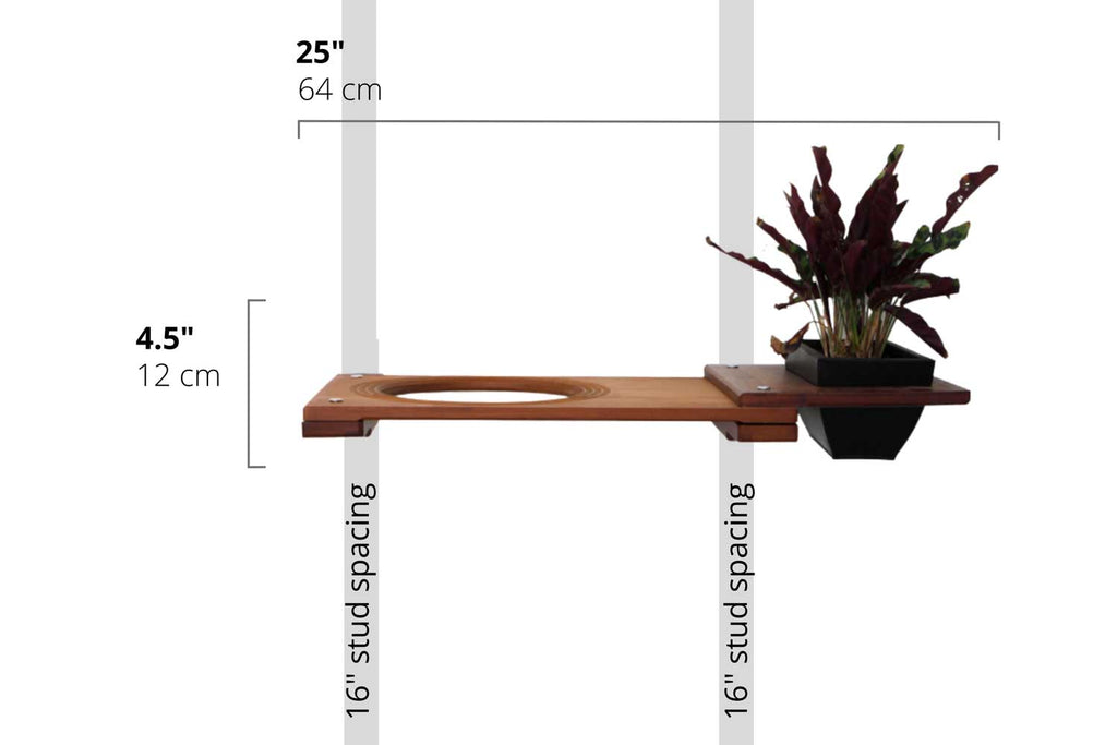 Cat Plant Stand for Wall by Catastrophic Creations