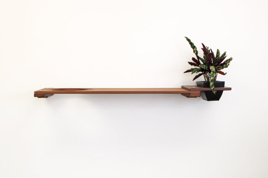 Cat Plant Stand for Wall by Catastrophic Creations