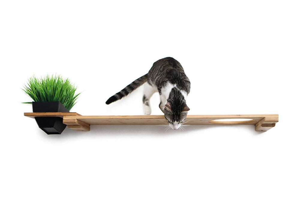 Cat Plant Stand for Wall by Catastrophic Creations