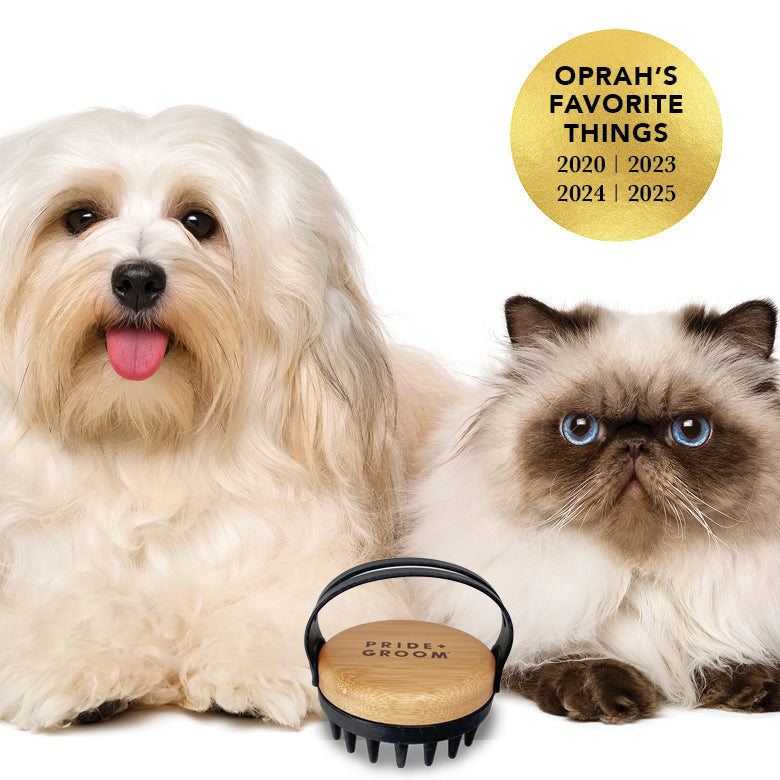 THE BATH BRUSH by PRIDE+GROOM