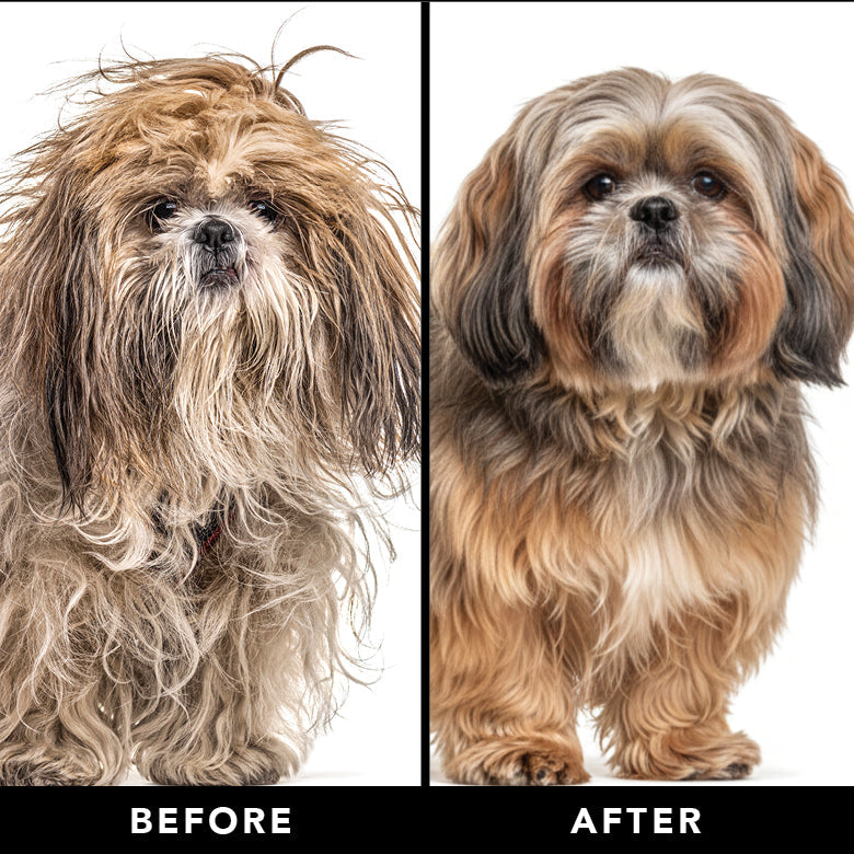THE FINAL COAT Dog Conditioner by PRIDE+GROOM