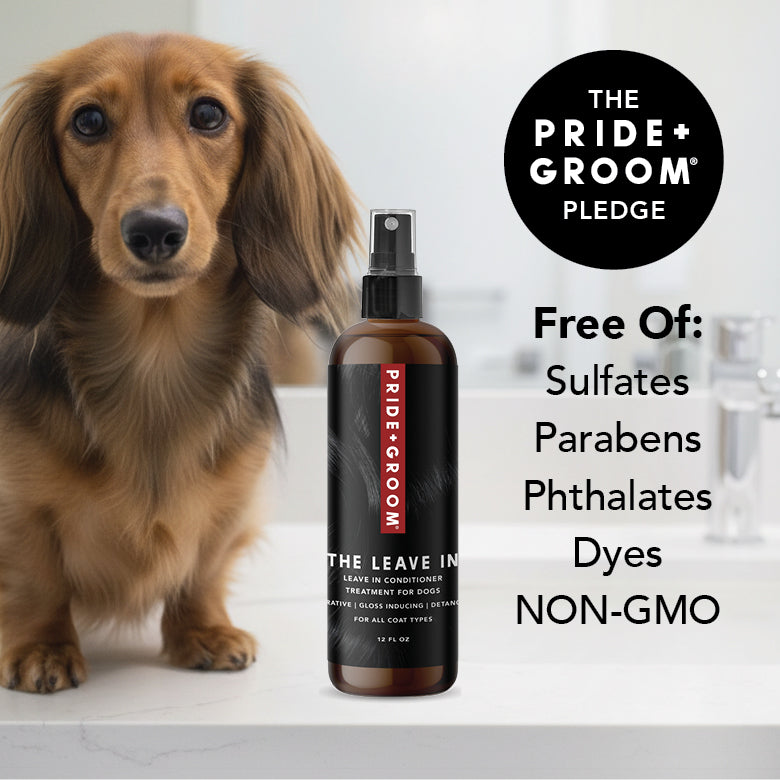 THE LEAVE IN by PRIDE+GROOM