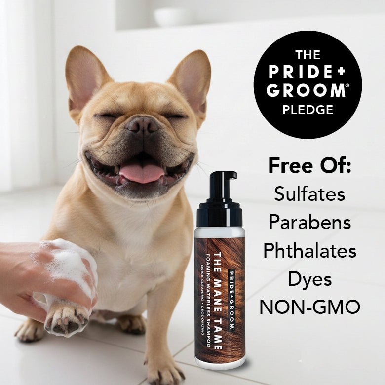THE MANE TAME by PRIDE+GROOM