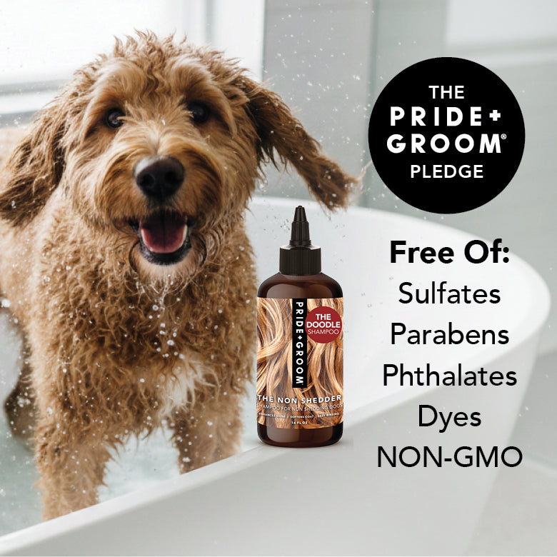 THE NON SHEDDER Dog Shampoo by PRIDE+GROOM