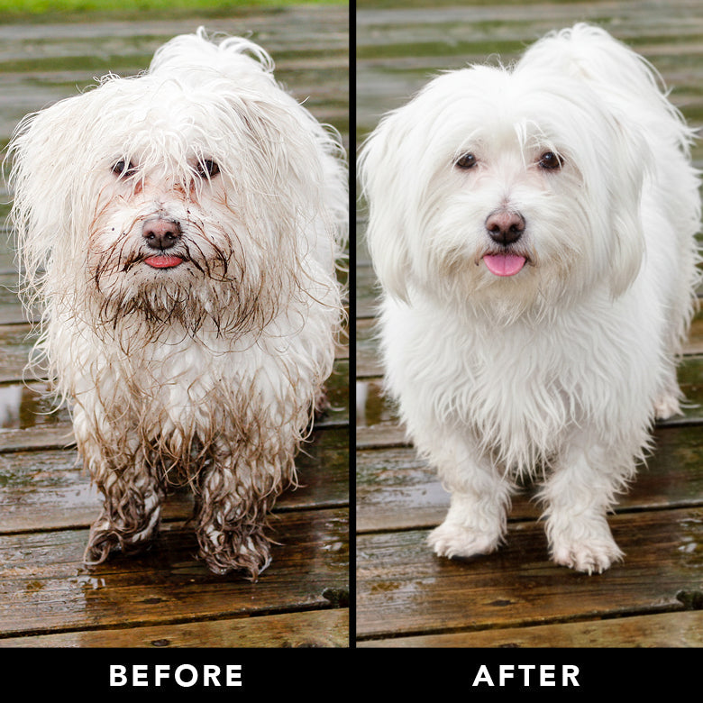 THE NON SHEDDER Dog Shampoo by PRIDE+GROOM
