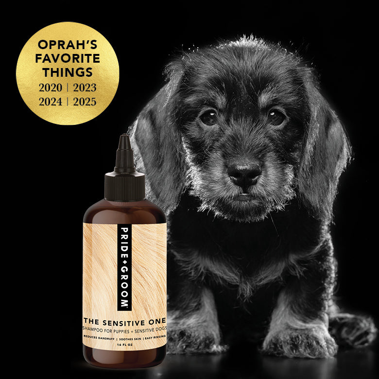 THE SENSITIVE ONE Dog Shampoo by PRIDE+GROOM