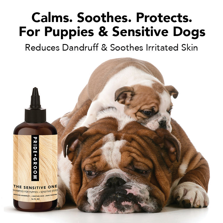 THE SENSITIVE ONE Dog Shampoo by PRIDE+GROOM