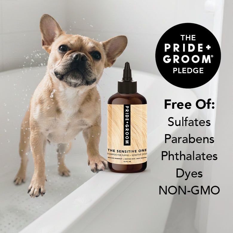 THE SENSITIVE ONE Dog Shampoo by PRIDE+GROOM