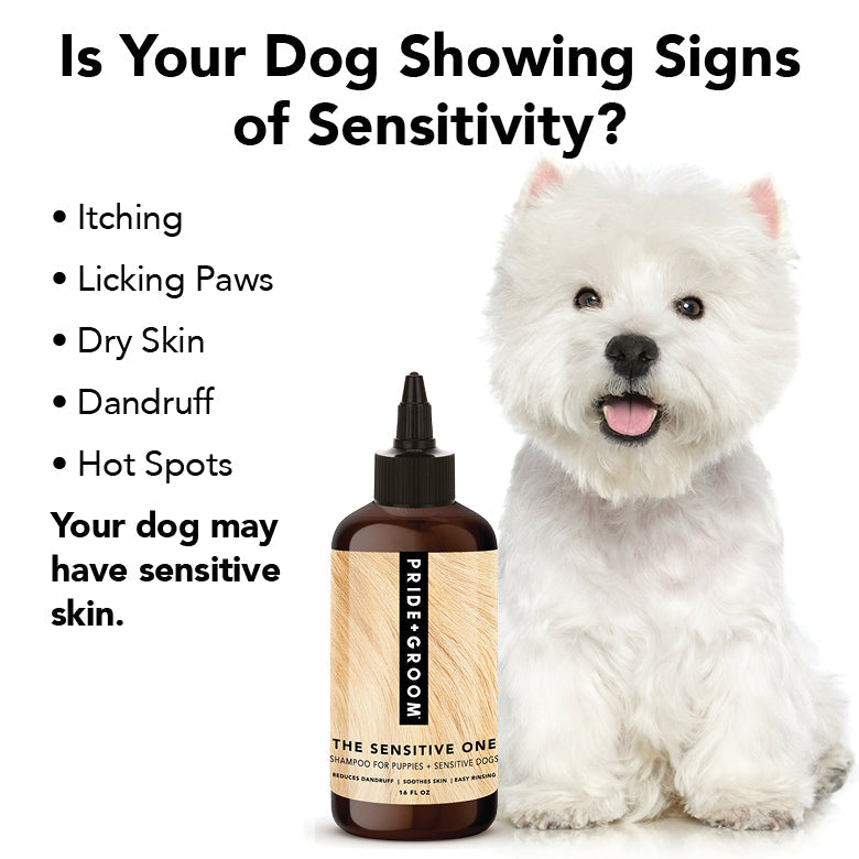 THE SENSITIVE ONE Dog Shampoo by PRIDE+GROOM