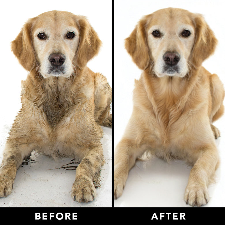 THE SENSITIVE ONE Dog Shampoo by PRIDE+GROOM