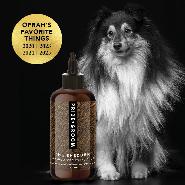 THE SHEDDER Dog Shampoo by PRIDE+GROOM
