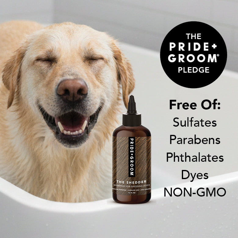 THE SHEDDER Dog Shampoo by PRIDE+GROOM